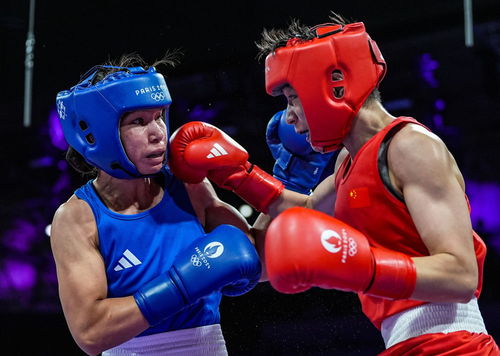 巴黎奧運(yùn)會(huì) 楊文璐晉級(jí)拳擊女子60公斤級(jí)四分之一決賽，展現(xiàn)賽事組織與競技風(fēng)采