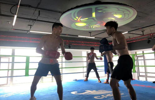 拳風(fēng)再起，蓄力新征程——廣西拳擊隊(duì)進(jìn)駐迪創(chuàng)曼巴中心開啟高強(qiáng)度集訓(xùn)